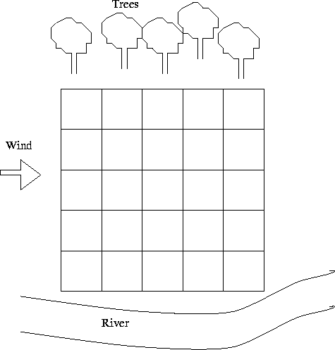 fertilizers